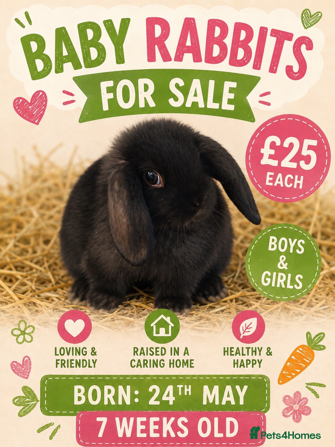 Mixed Breed rabbits Baby rabbits for sale  - Advert 8