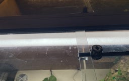 Python Snake reptiles for sale: Royal Python  - Image 8