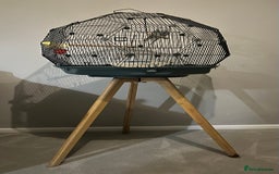 Budgerigars birds for sale: Stunning pair of budgies with cage. - Advert 4