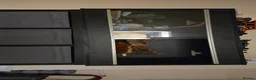 Mixed Breed reptiles for sale: 4 foot vivarium and accessories for sale - Advert 3