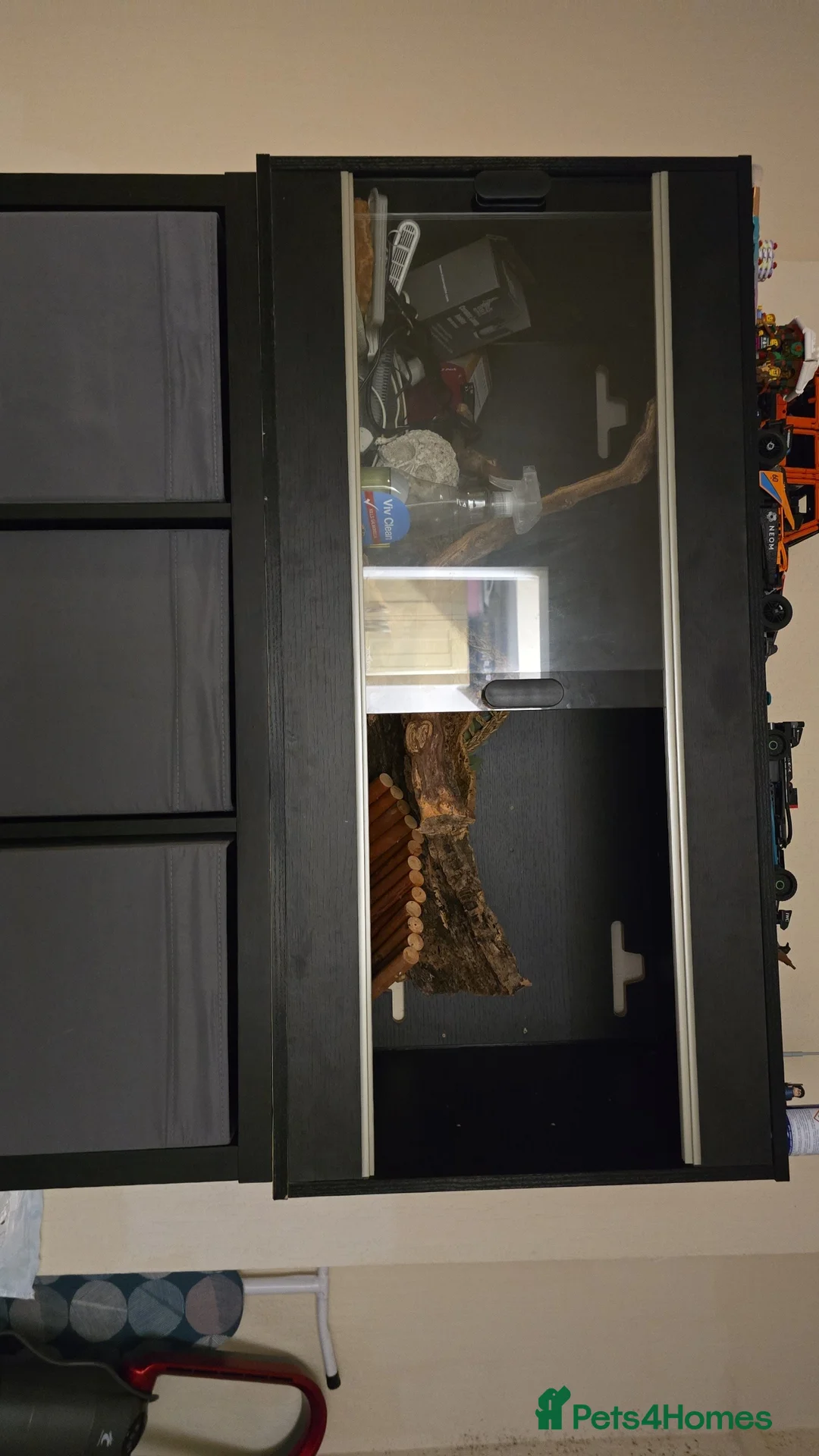 Mixed Breed reptiles for sale: 4 foot vivarium and accessories for sale - Advert 3