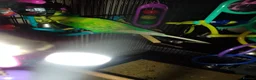 Budgerigars birds for sale: Male Budgie with cage and everything you need - Advert 1