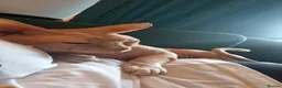 Sphynx cats for sale: Gorgeous Sphynx Kittens for sale - Advert 14