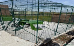 Chickens poultry for sale: Omlet chicken run and Eglu Coop - Image 2