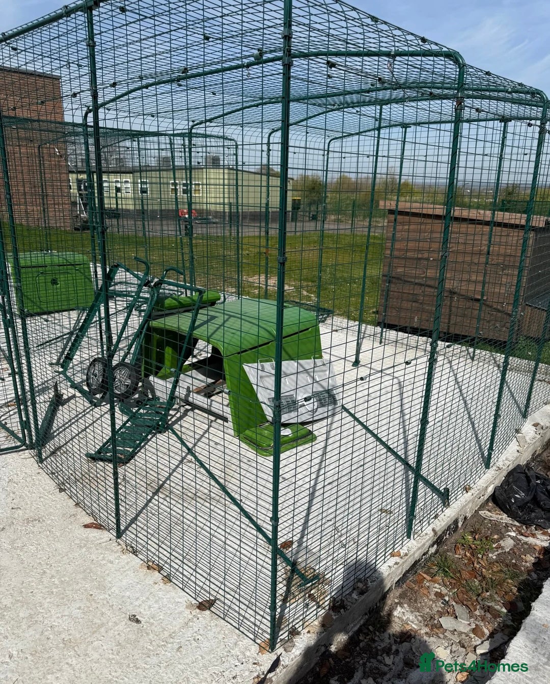 Chickens poultry for sale: Omlet chicken run and Eglu Coop - Image 2
