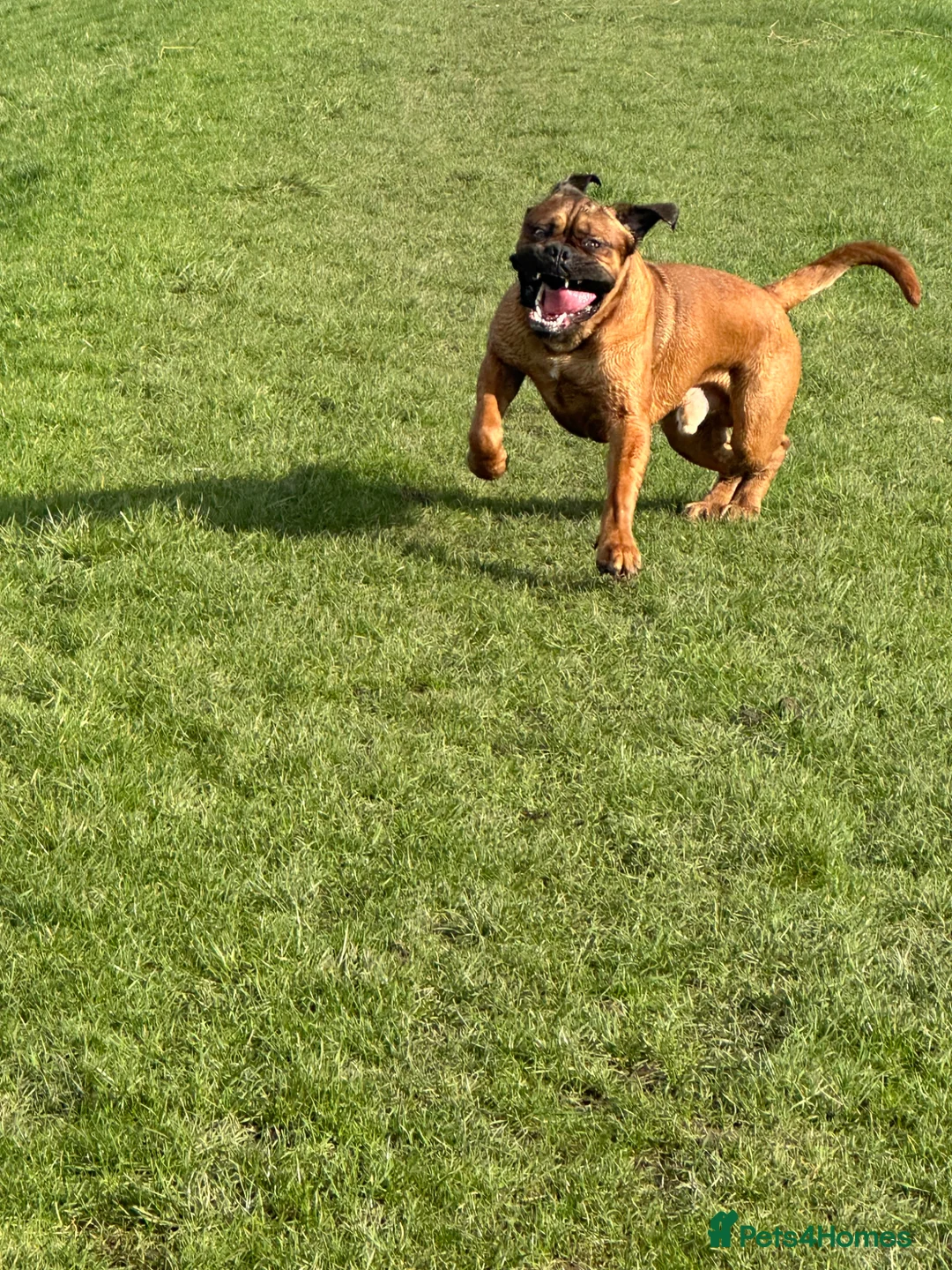 Gallery Image {{count}}