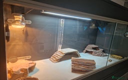 Bearded Dragon reptiles for sale: Red leatherback hypo bearded dragon and vivariums  - Image 8