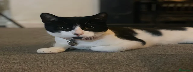 Stormi