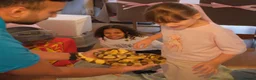 Python Snake reptiles for sale: Pastel Enchi Royal Python with 4 foot setup - Advert 7