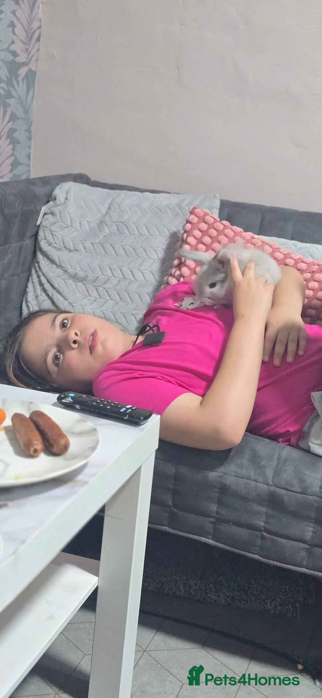 Dwarf Lop rabbits for sale: Little lady  - Image 1
