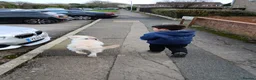 Golden Retriever dogs for sale: Golden retriver - Advert 4