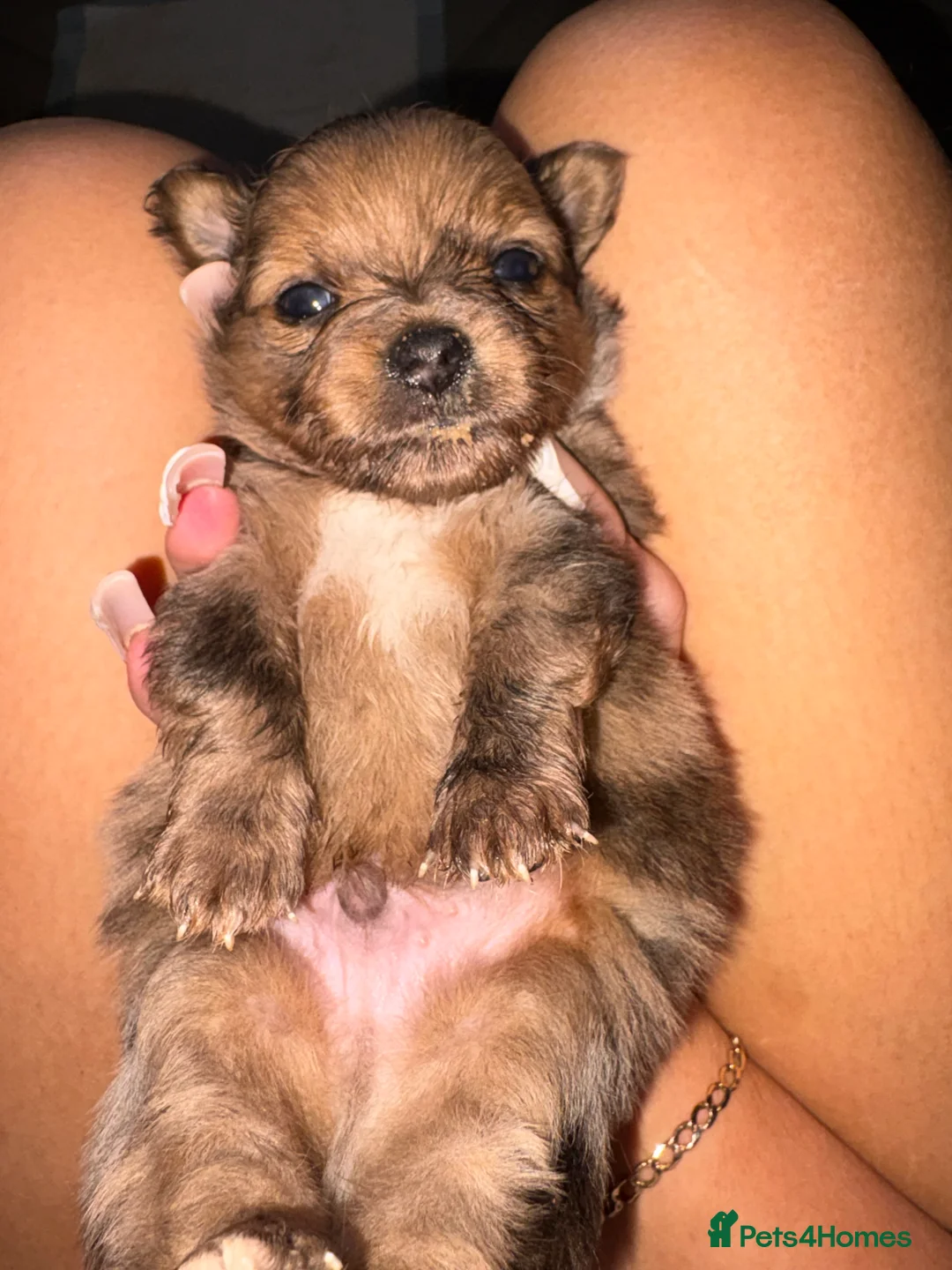 Gallery Image {{count}}