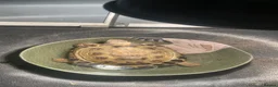 Tortoise reptiles for sale: Handsome male Russian Tortoise(4yearold)  in Salford - Advert 1