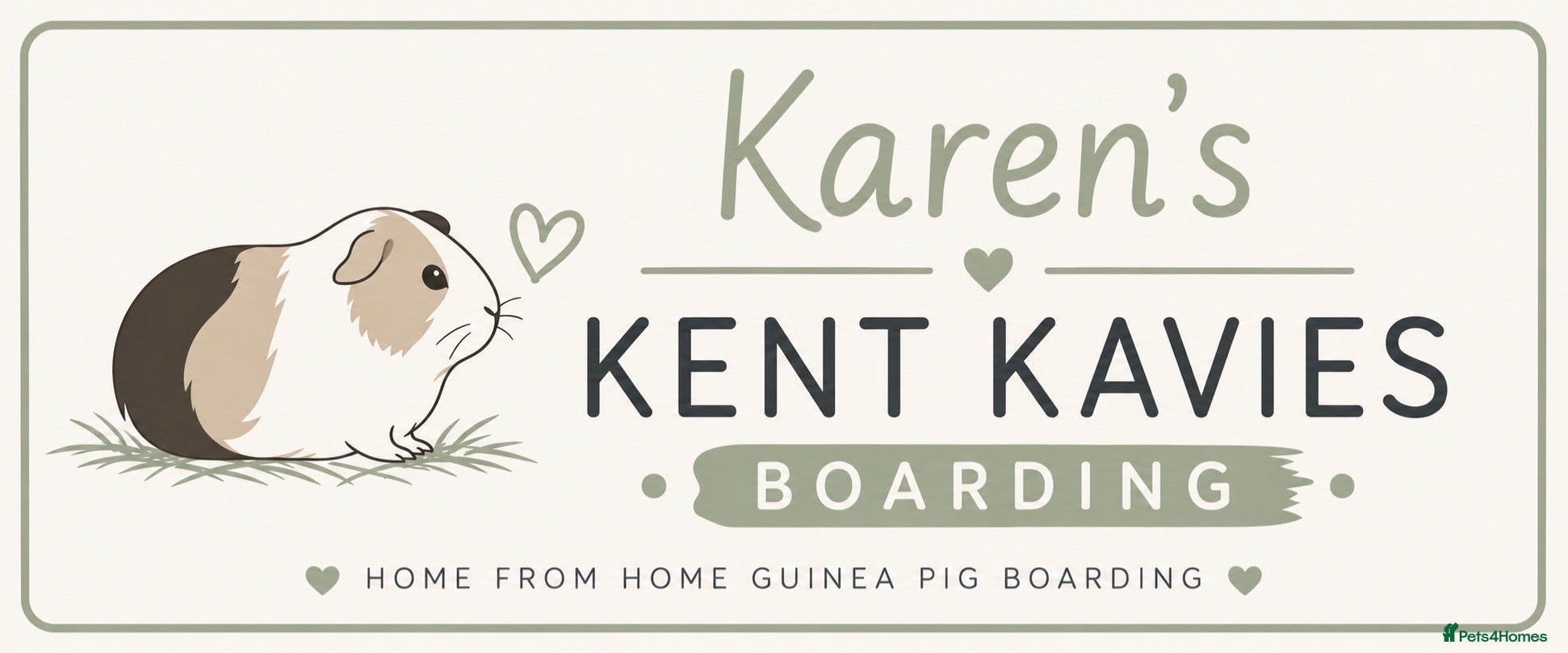 Guinea Pig rodents Guinea pig boarding in Herne bay - Advert 2