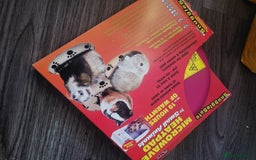 Rat rodents for sale: Starter rat cage with accessories and 2 rats. - Image 7
