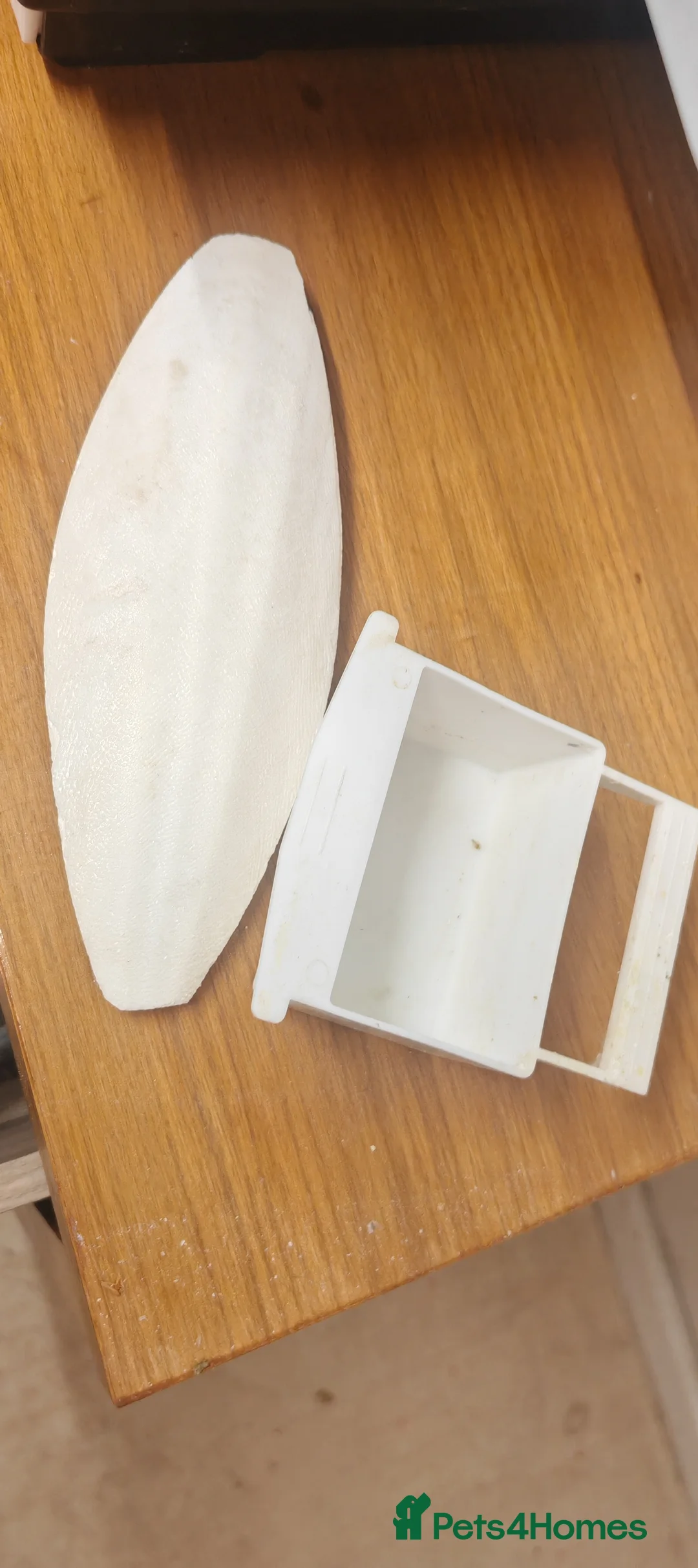 Budgerigars birds for sale: 2x budgies and full set up - Advert 10