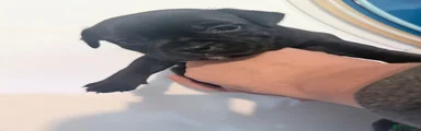 Mary 
