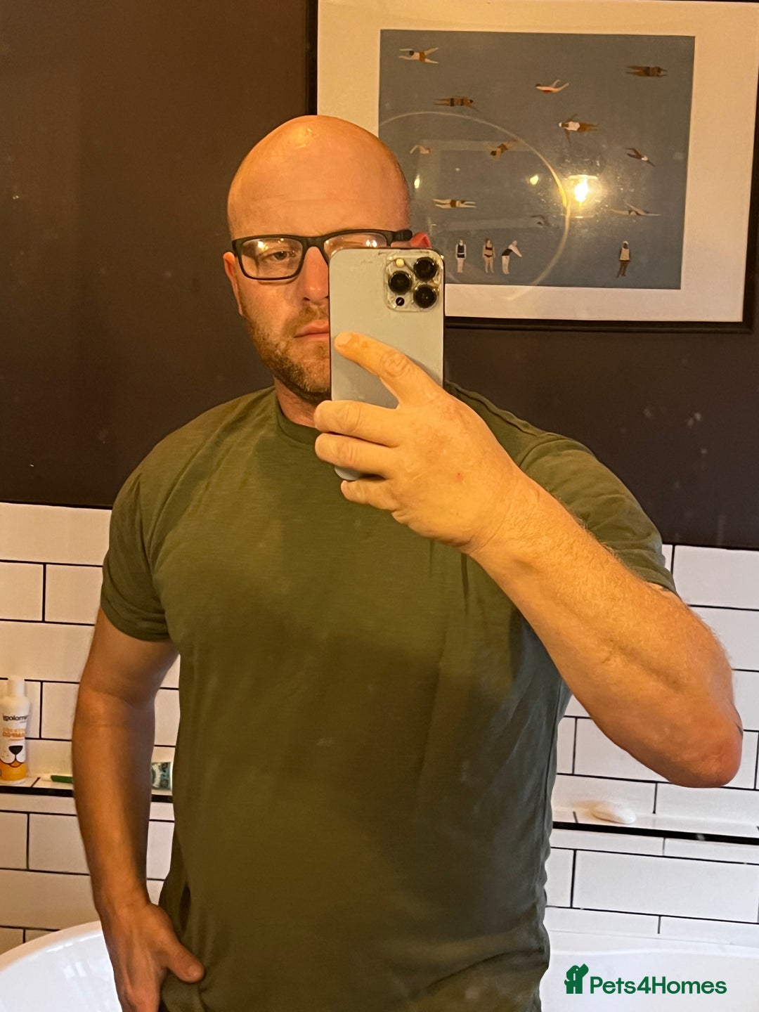 Miniature Dachshund dogs for sale: Miniature dachshund 1 choc girl left  - Image 22