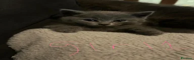 Grey female