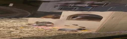 Hamster rodents for sale: 12 baby Syrian Hamsters  - Advert 8