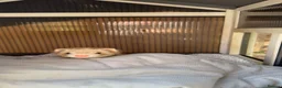 Ferret rodents for sale:     3 Female Ferrets to Rehome in Stourbridge - Advert 4