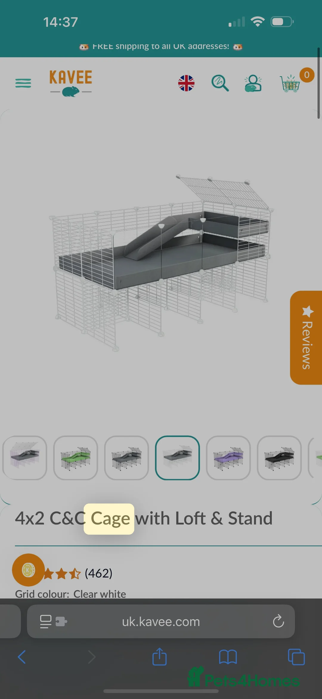 Mixed Breed rabbits for sale: Guinea pigs - Advert 3