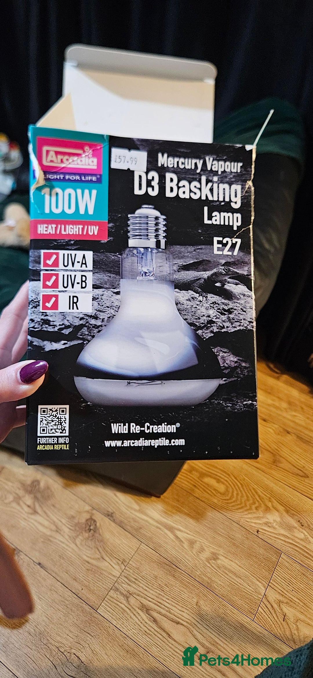 Tortoise reptiles for sale: Horsefield Tortoise and Enclosure. - Advert 9