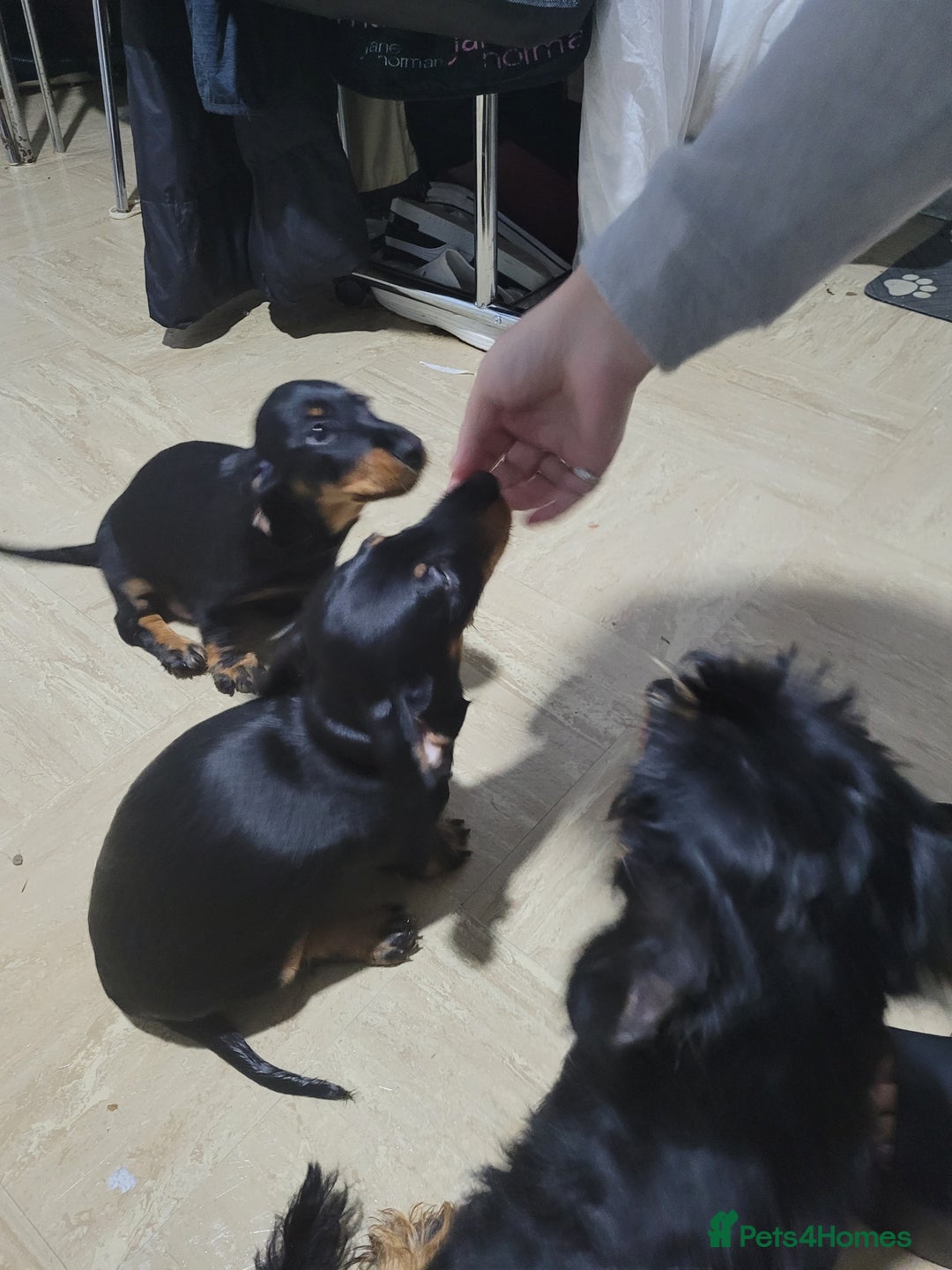 Gallery Image {{count}}