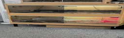 Tortoise reptiles for sale: Male and female horsefield tortoise  - Advert 1