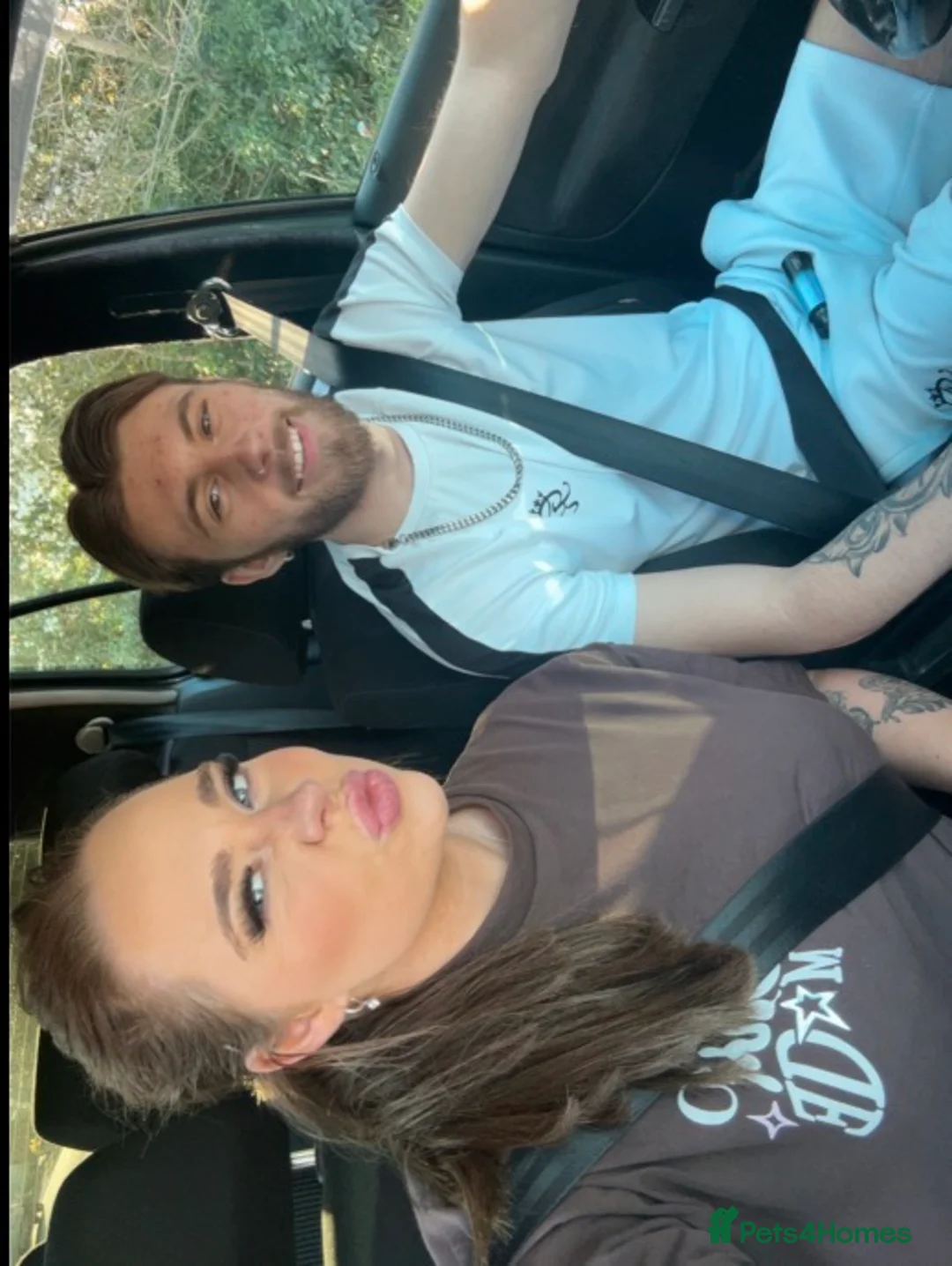 Gallery Image {{count}}