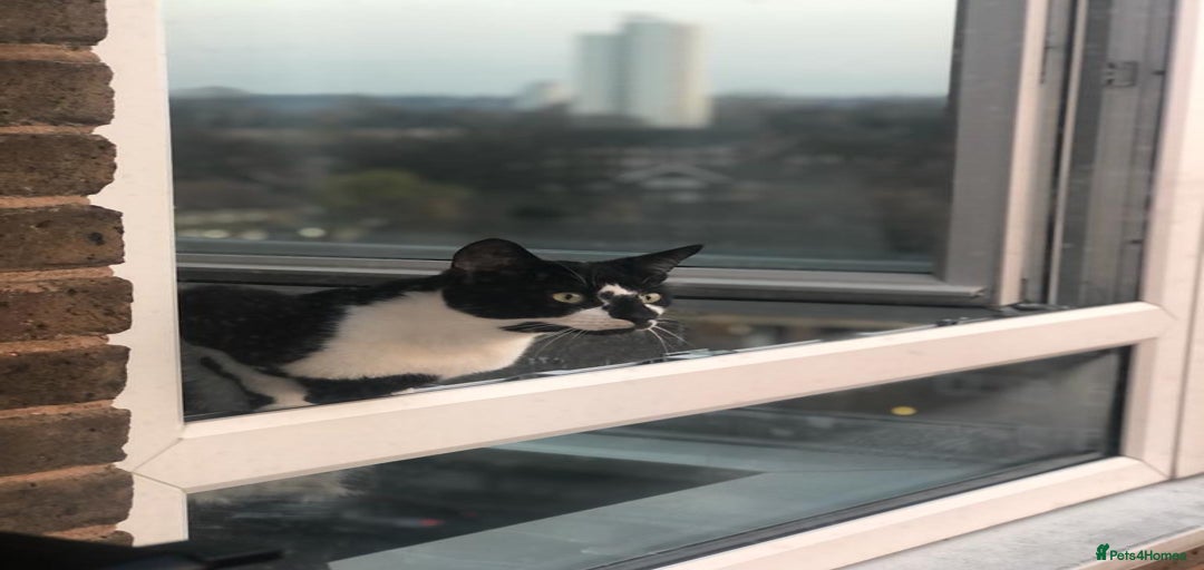 Gallery Image {{count}}