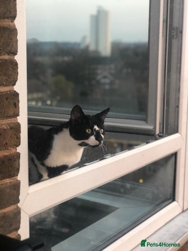 Gallery Image {{count}}