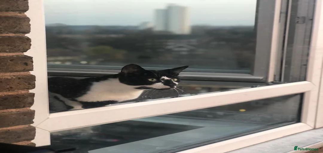 Gallery Image {{count}}