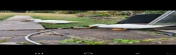 Ducks poultry for sale: 2 female ducks for sale - Advert 4