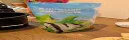 Tetras fish for sale: Well Established Fluval Fish Tank in Runcorn - Advert 23