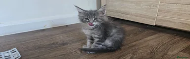 Del