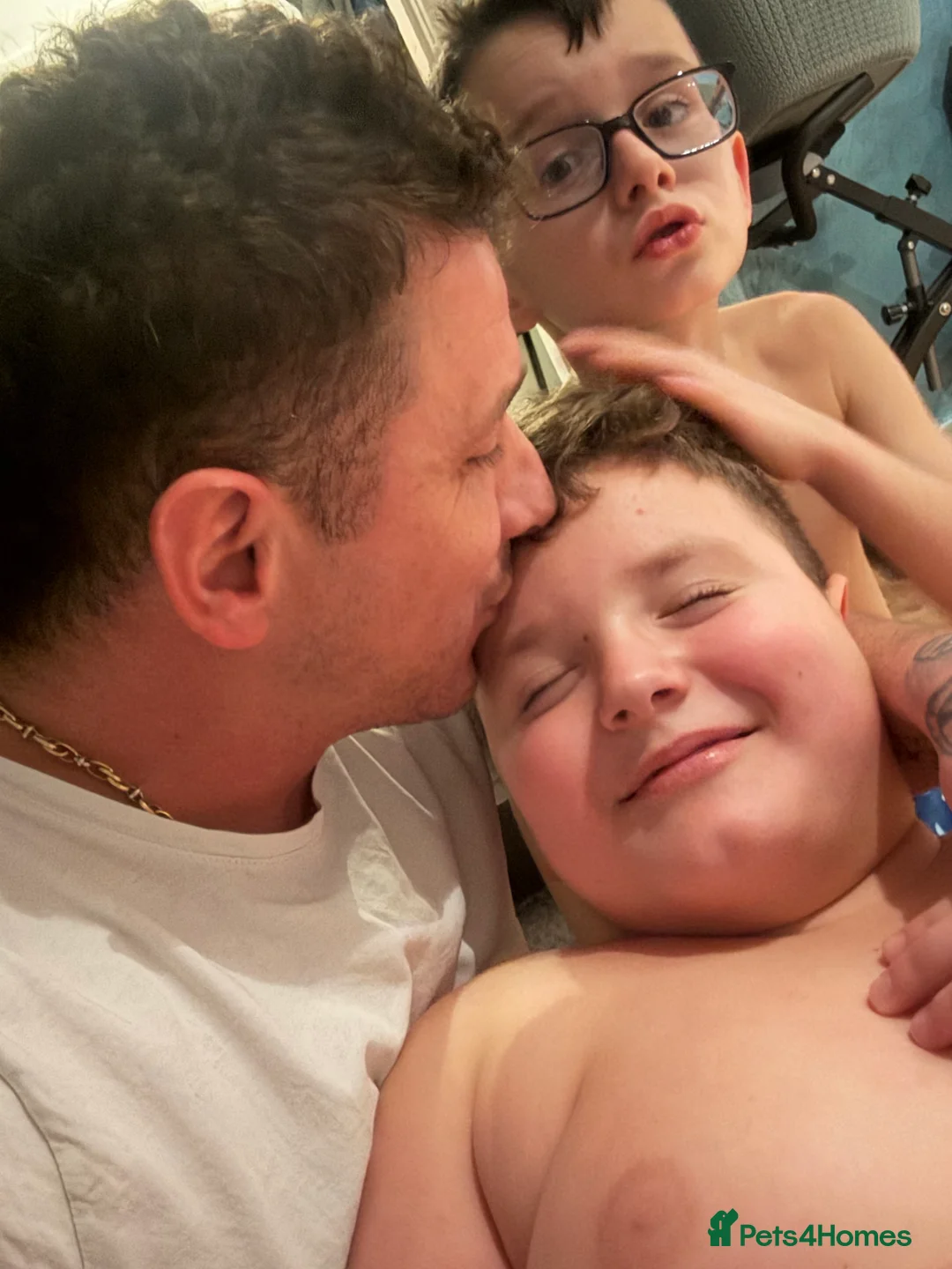 Gallery Image {{count}}