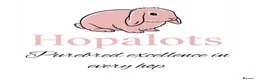 Mini Lop rabbits for sale: Pure mini lops  - Advert 1
