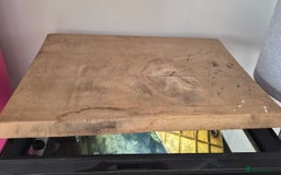 Terrapin reptiles for sale: Musk turtle to good home - Image 6