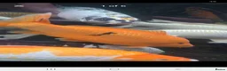 Koi Carp fish for sale: Koi carp x6 in Thornton-Cleveleys - Advert 2