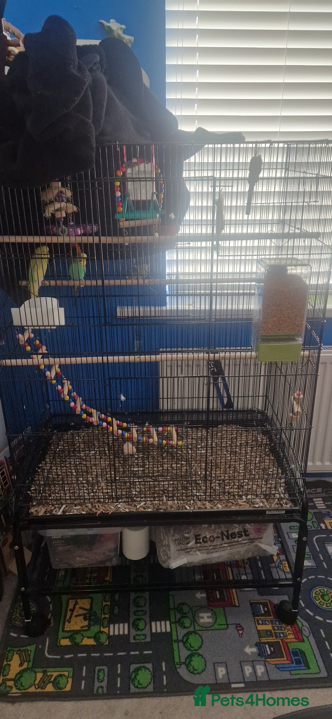 Budgerigars birds for sale: Budgies, cage and toys - Image 3