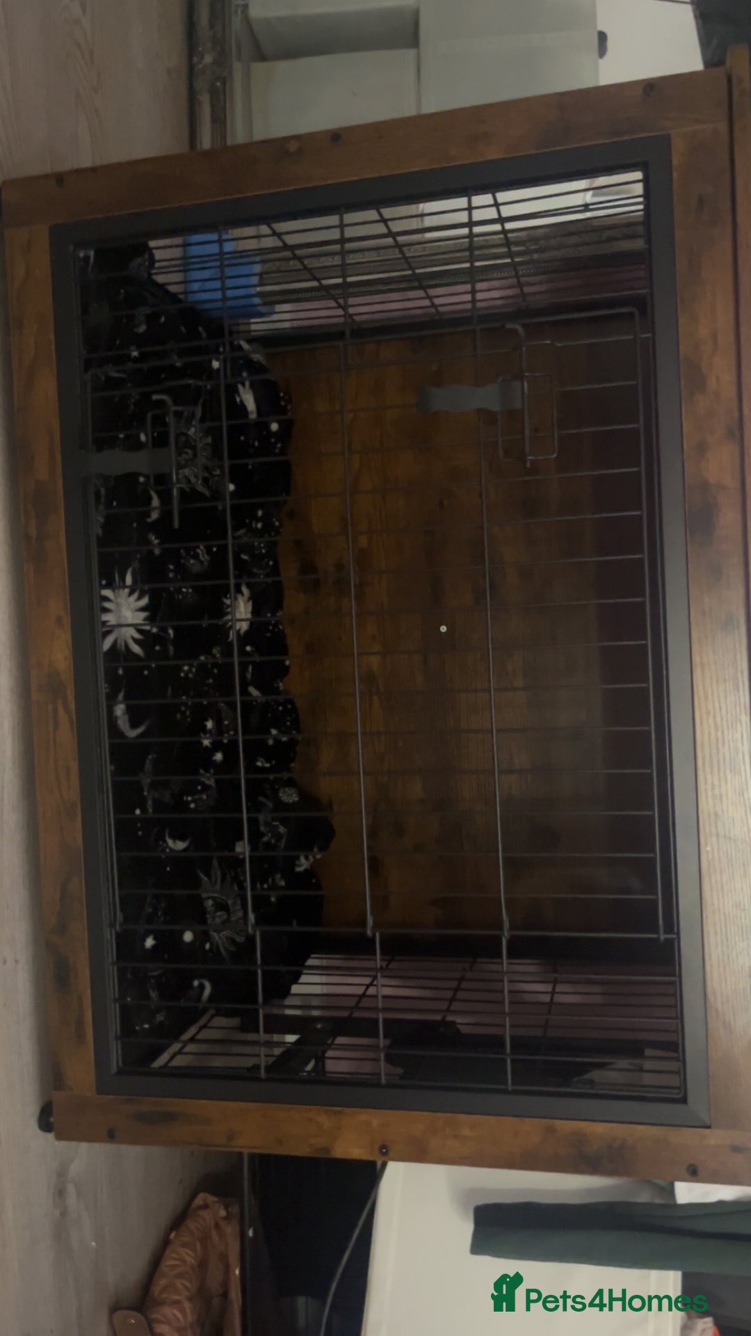 Mixed Breed dogs for sale: Dog cage with built in unit for sale - Image 2