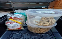 Macaws birds for sale: Blue & Gold Macaw For Sale - Image 17