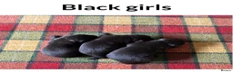 Labrador Retriever dogs for sale: READY NOW Beautiful KC reg girls - health tested - Advert 8