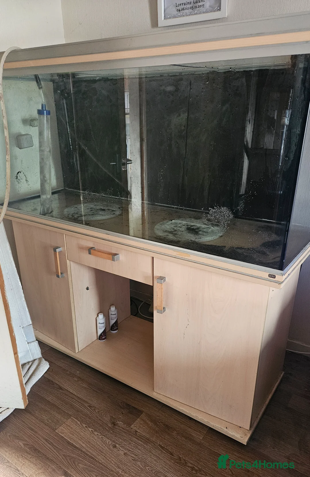 Other/Mixed Breed fish for sale: 5ft Rena 480L fish tank aquarium  - Advert 1