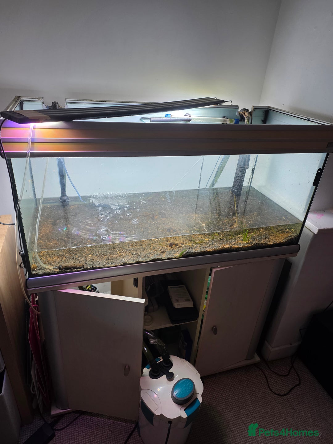 Shrimps fish for sale: Fishtank+accesories in Huntingdon - Advert 13