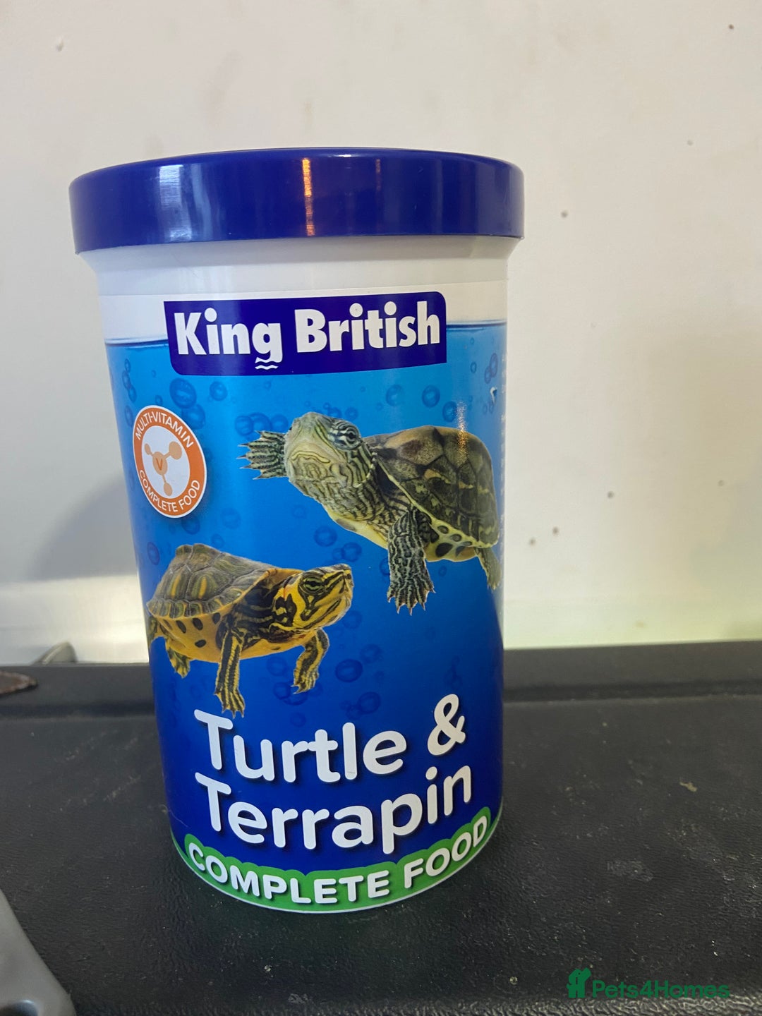 Turtle reptiles for sale: 2 male turtles and set up  - Image 7