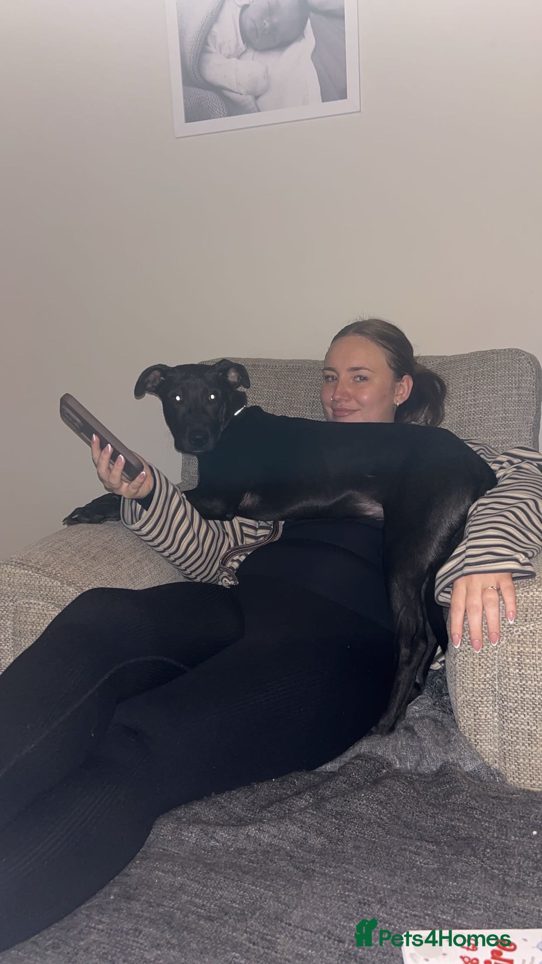 Mixed Breed dogs for sale: Narla - Advert 3