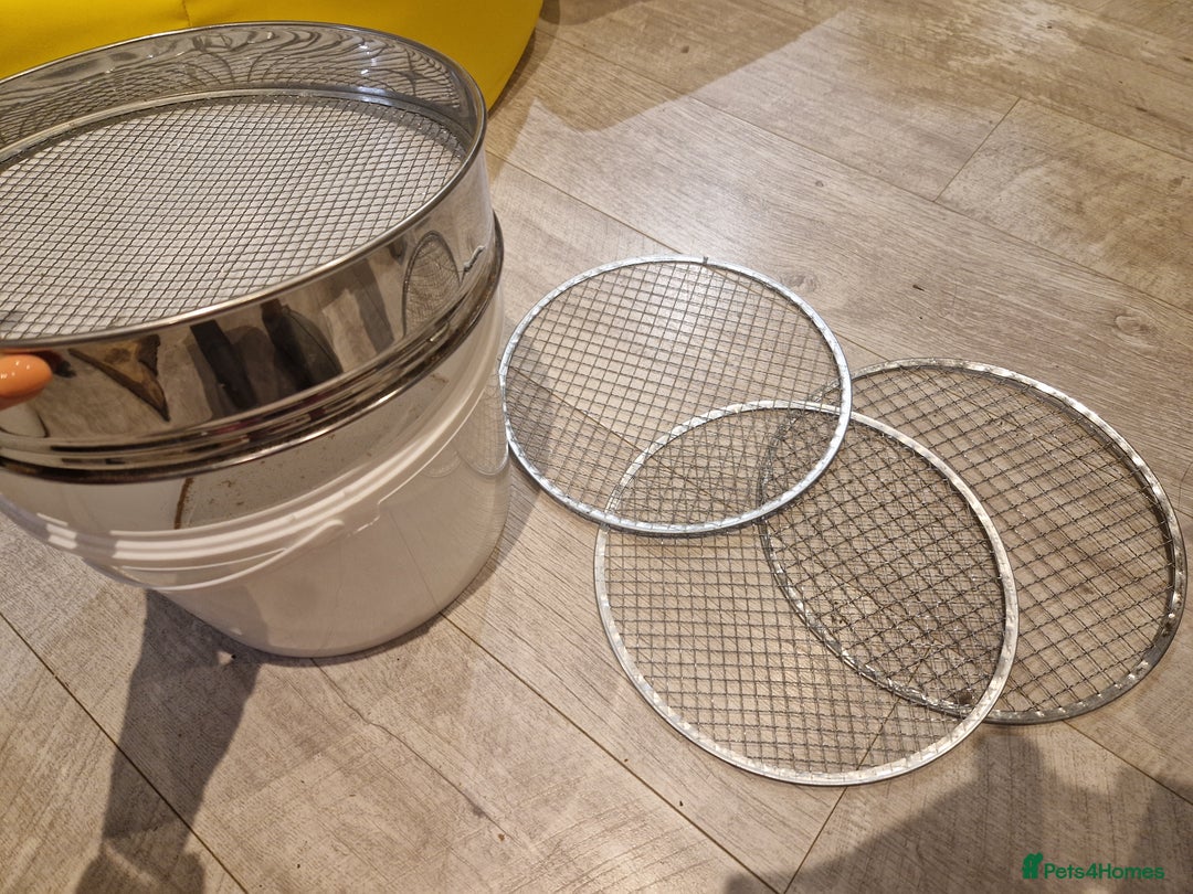 Quail poultry for sale: Mealworm farm for quail or other pets - Image 6