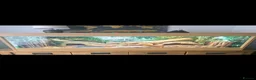 Bearded Dragon reptiles for sale: Bearded Dragon and enclosure for Sale - Advert 4